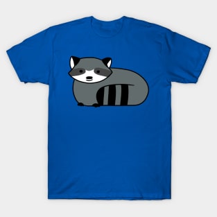 Little Raccoon T-Shirt